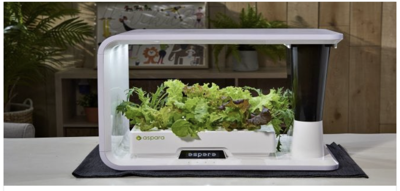 growgreen 14.15.33