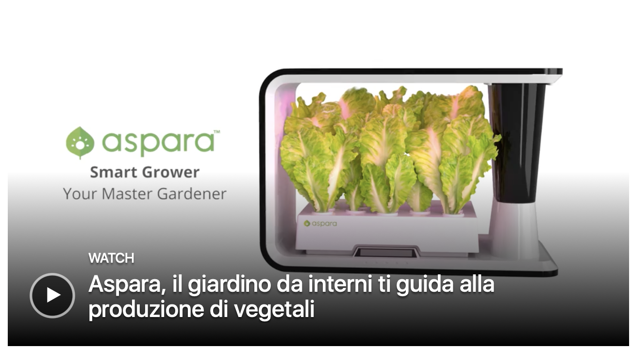 growgreen 17.24.30