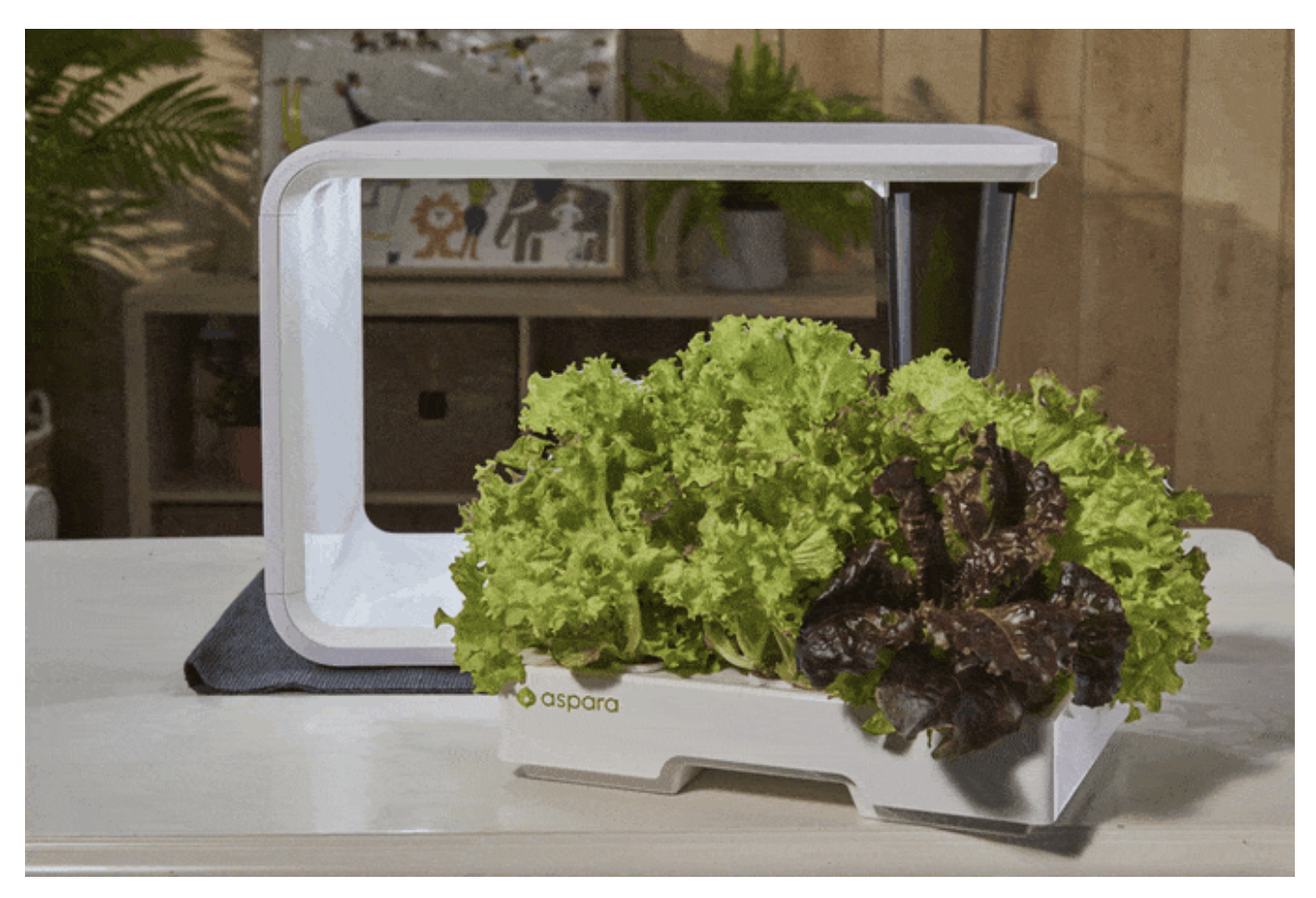 growgreen 17.26.46