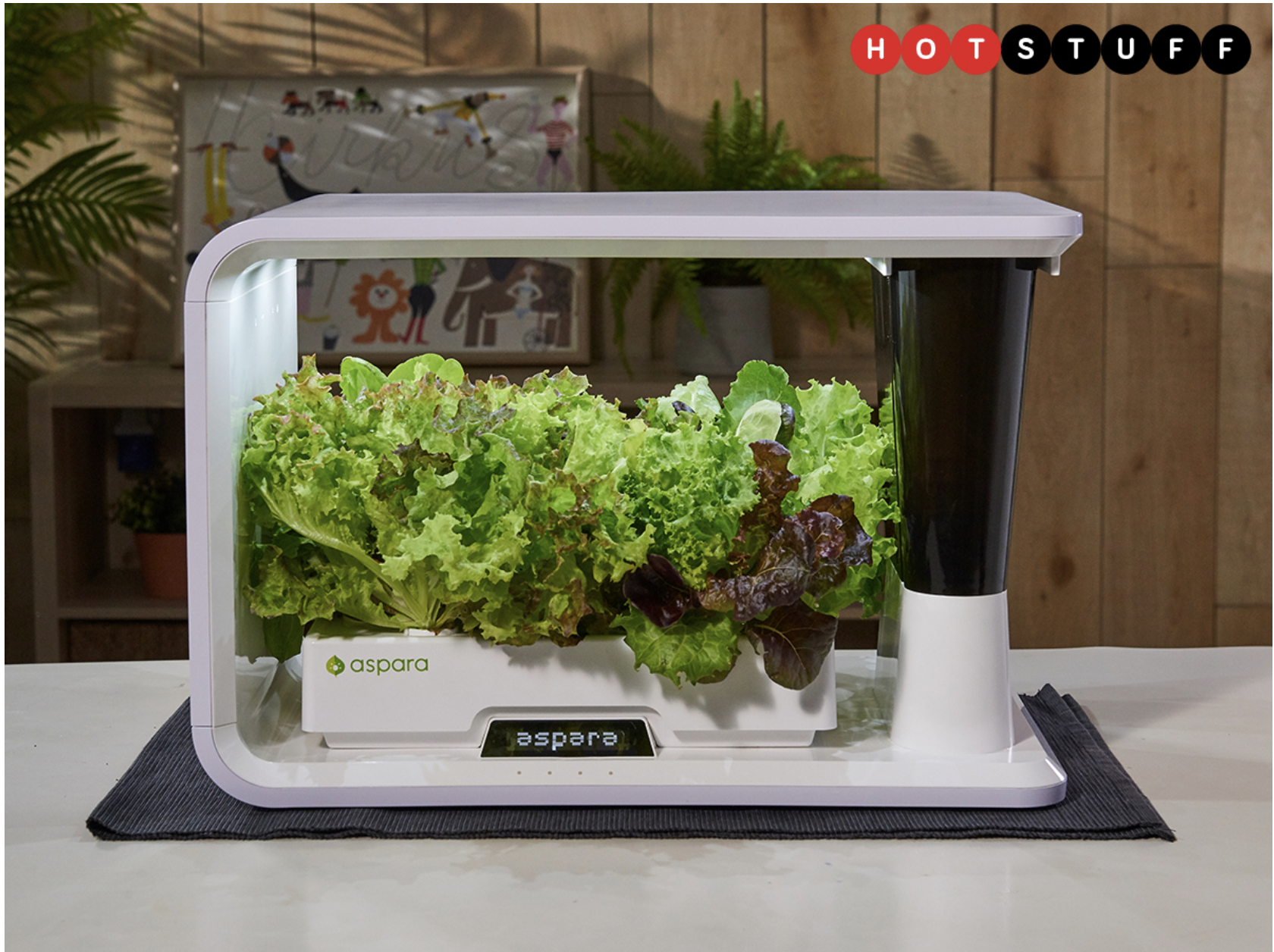 growgreen 17.48.54