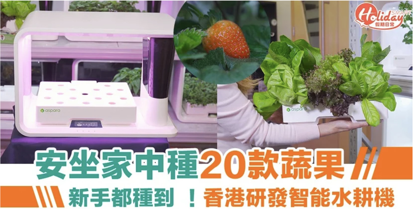 2020.03.16 HolidaySmart 假期日常