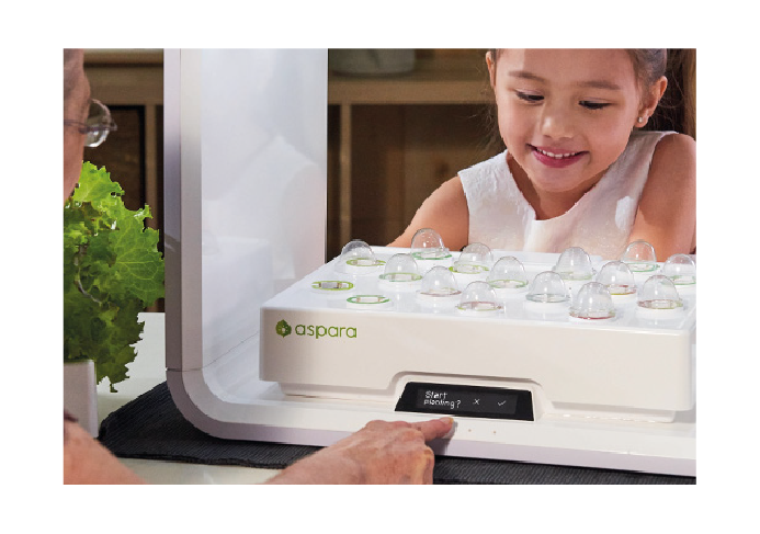 SKU-step-Lite-capsules