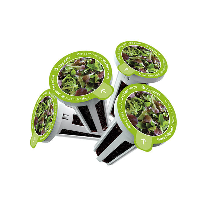 Mixed Baby Leaf growgreen