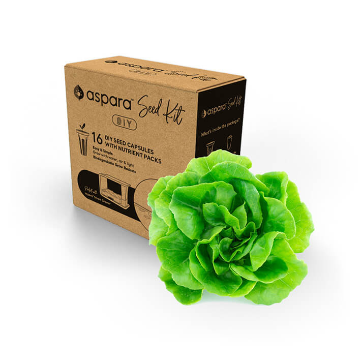 Butterhead growgreen