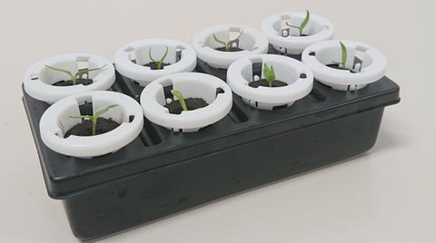 SKU-step-Lite-water