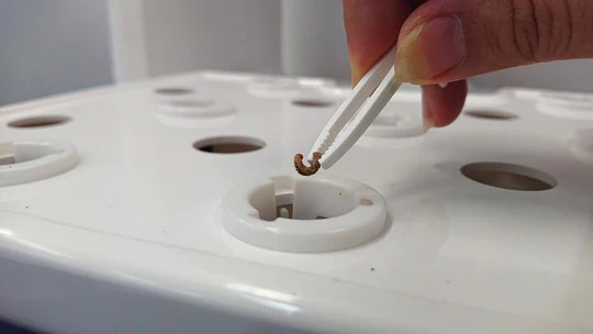 SKU-step-Lite-water