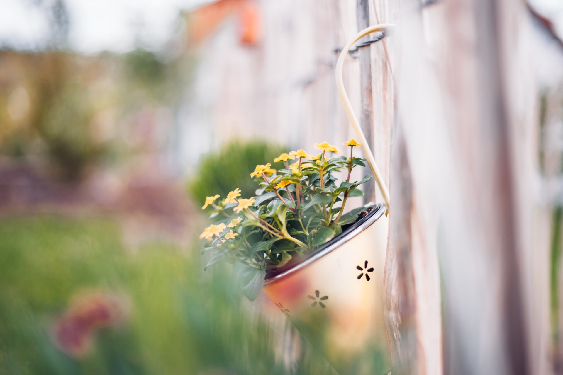 herb-garden_growgreen_aspara_indoor_hydroponic_191.2