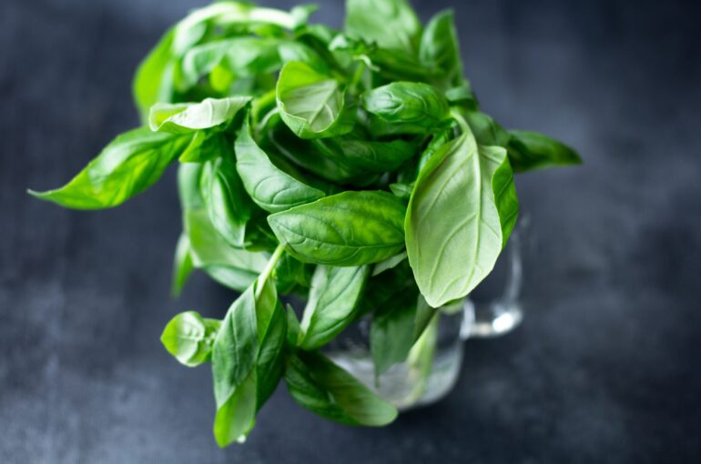 Herb Garden | How To Grow An Indoor Herb Garden And Never Have To Buy Herbs Again