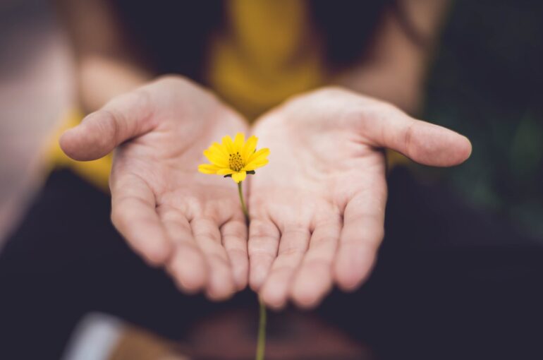 Herb Garden | Take Care Of Your Herb Garden All Day And You Will Realise 6 Things About Yourself You Never Knew