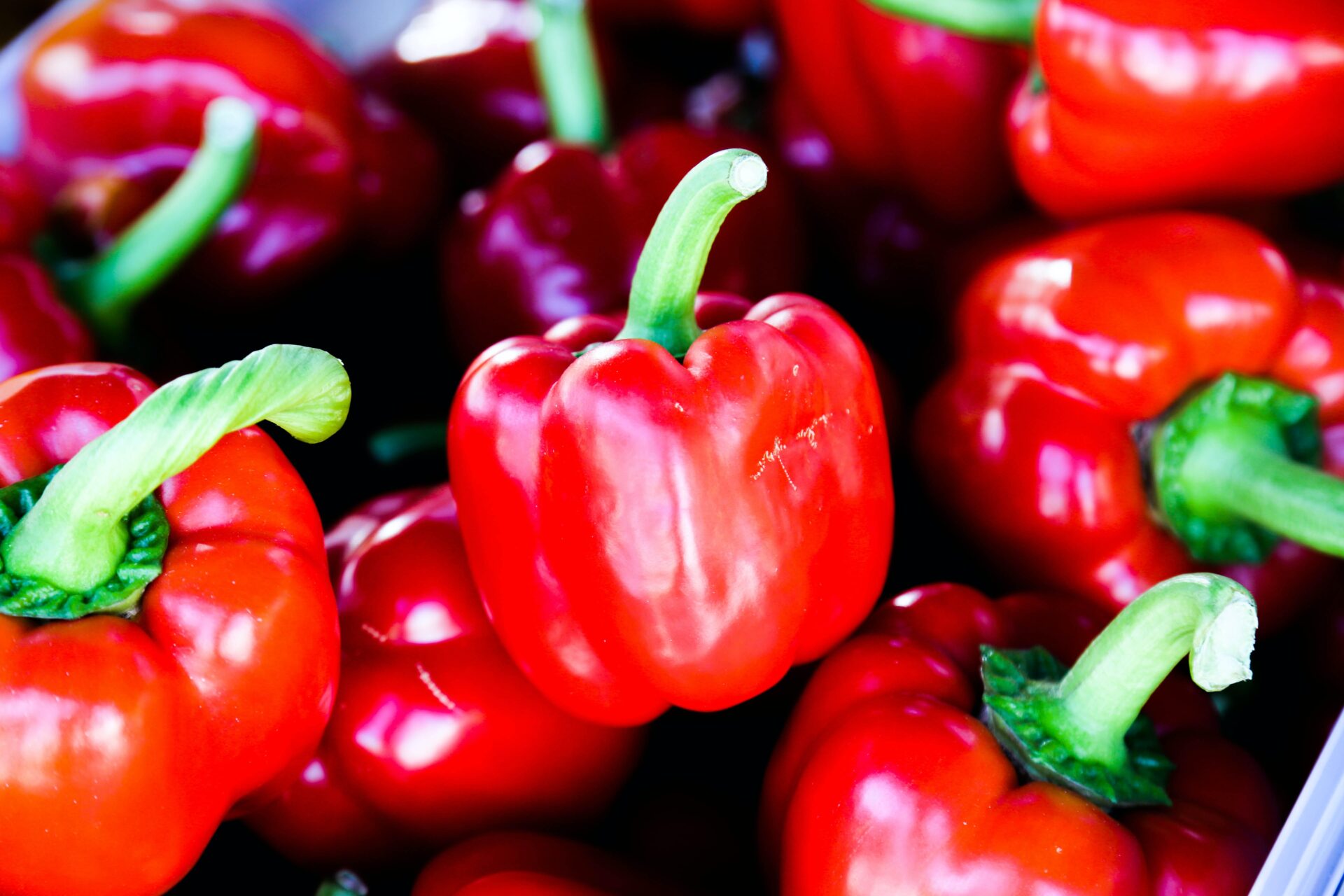 herb-garden_growgreen_indoor_hydroponic_pepper_smart-garden_216.3