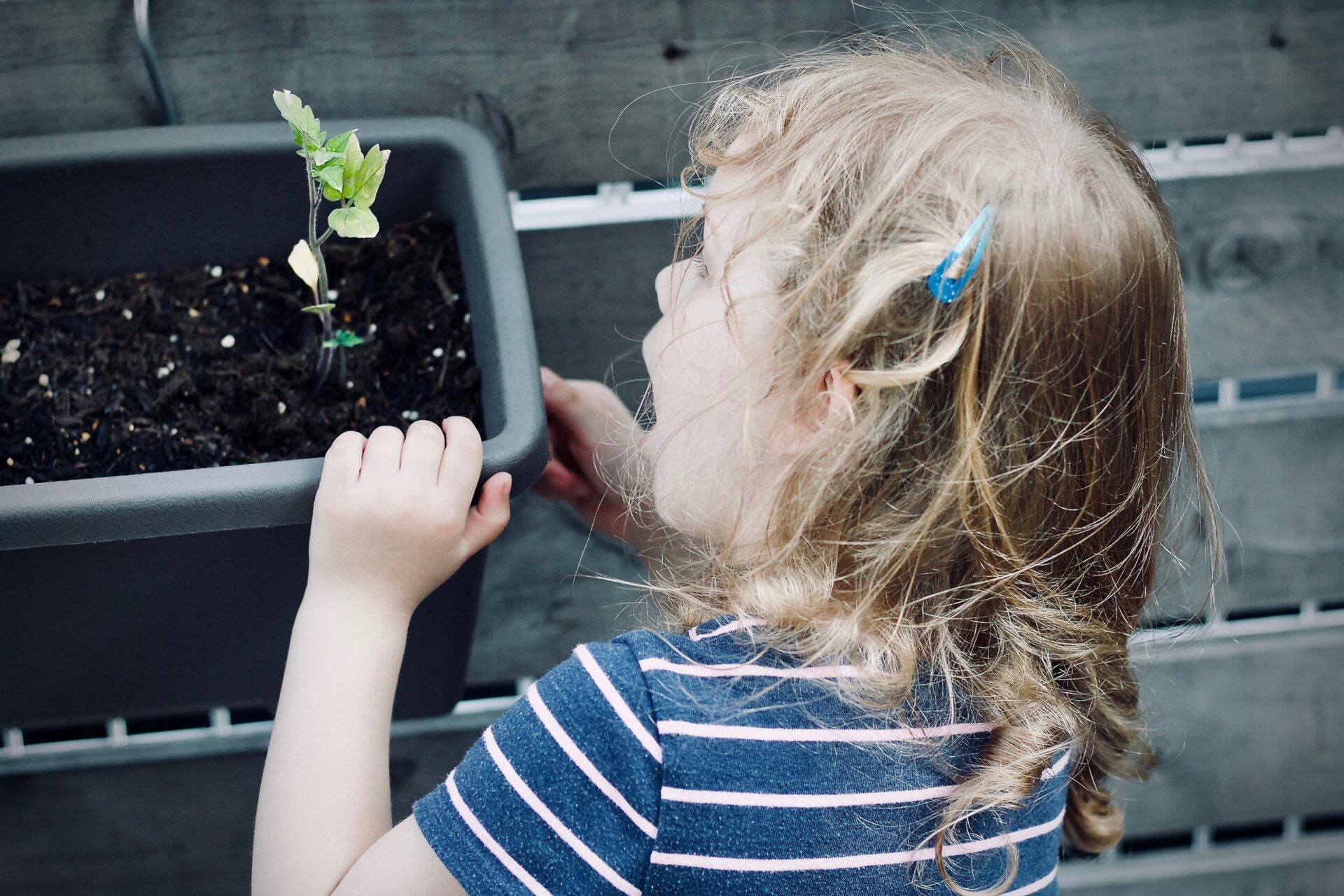 herb-garden_growgreen_indoor_smart-garden_aspara_seed-kit_kids_gardening_221.3