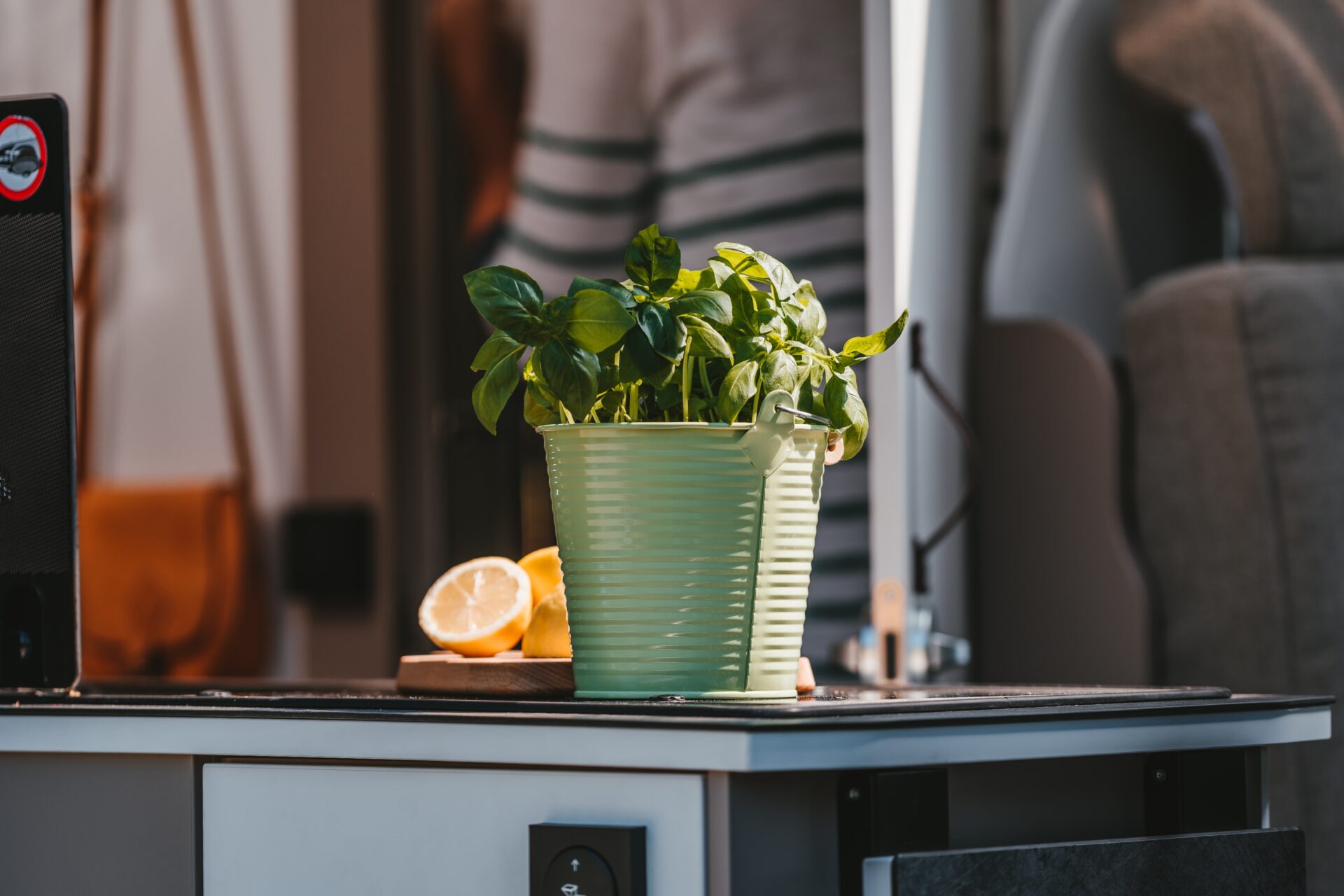 herb-garden_growgreen_indoor_smart-garden_hydroponic_basil_seed-kit_222.3