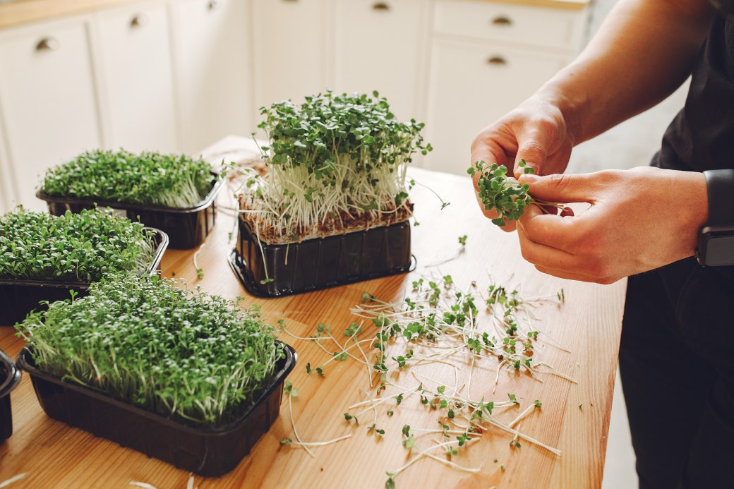 herb_garden_Indoor_growgreen_228.3