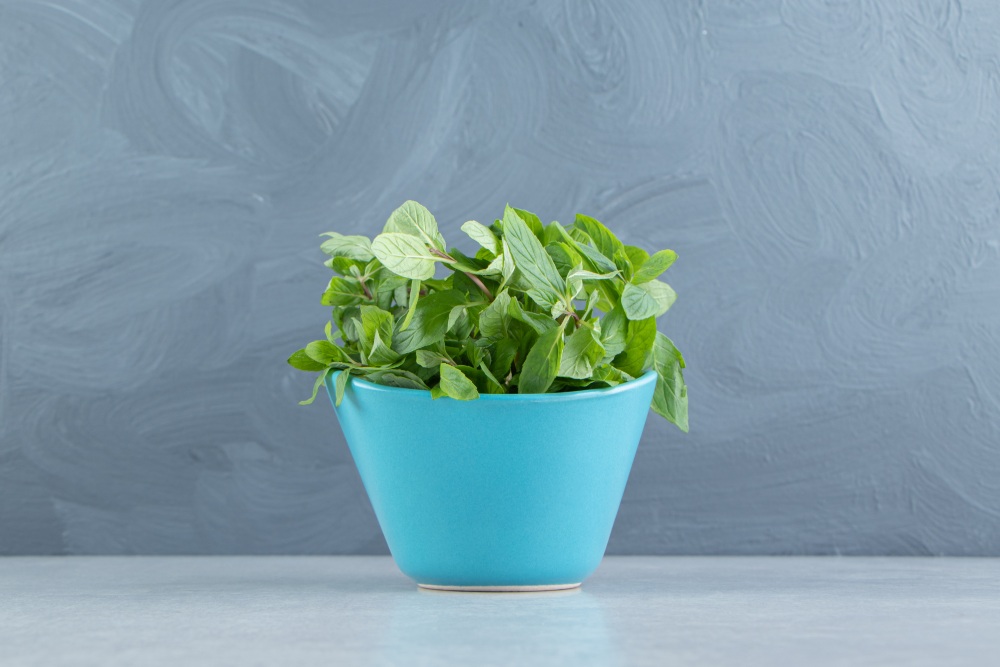 herb_garden_Indoor_growgreen_229.2
