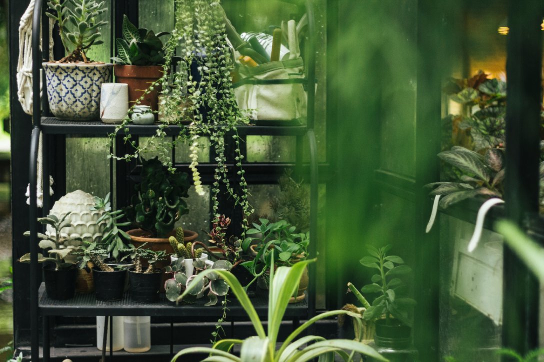 herb_garden_Indoor_growgreen_229.3