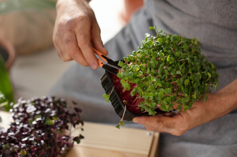 Herb Garden Indoor | Herb Garden Indoor: Planting Ideas And Advice On How To Grow Herbs