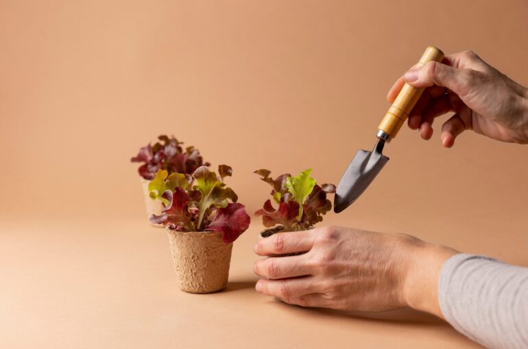 Herb Garden Indoor | Redefining The Herb Garden Indoor