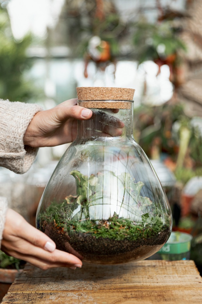herb_garden_Indoor_growgreen_233.3