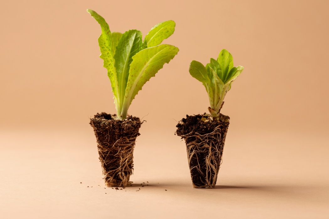 herb_garden_Indoor_growgreen_234.3
