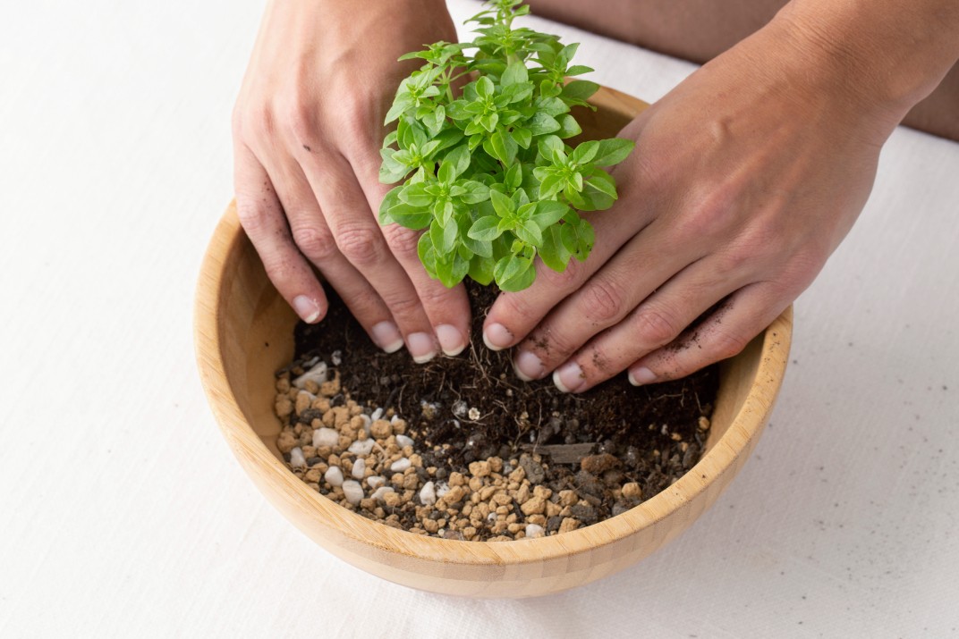 herb_garden_Indoor_growgreen_235.2