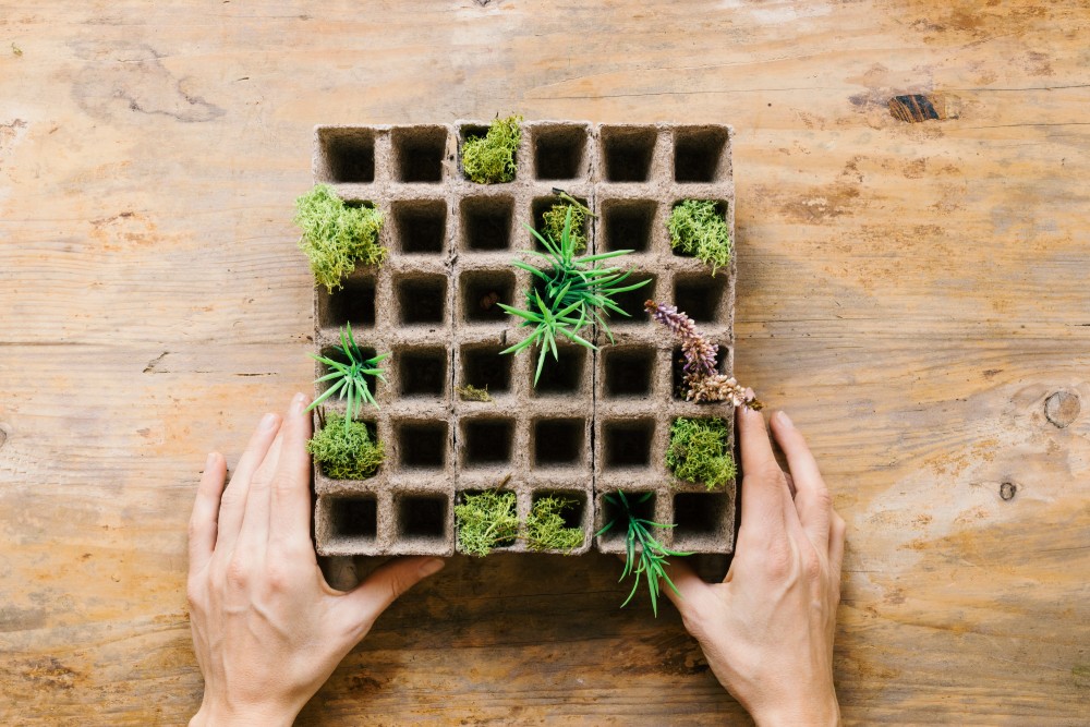 herb_garden_Indoor_growgreen_236.2