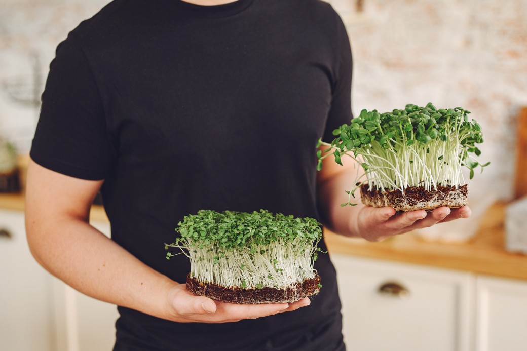 herb_garden_Indoor_growgreen_237.2