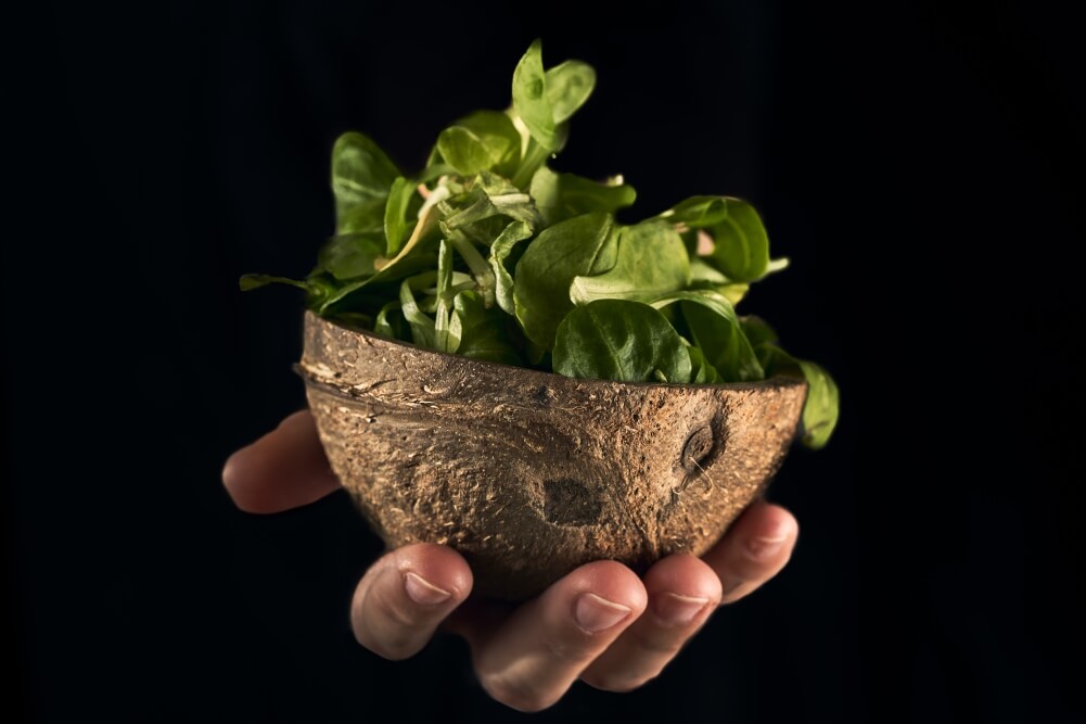 herb_garden_Indoor_growgreen_238.2