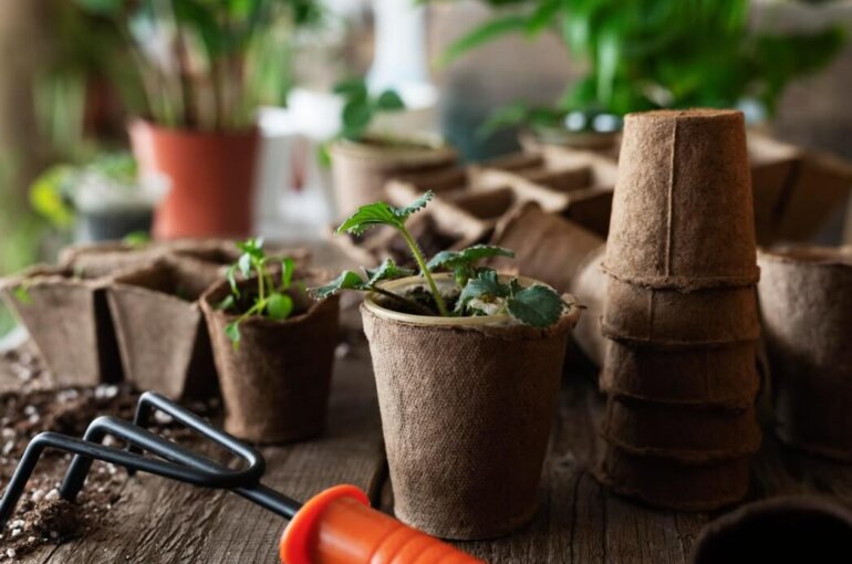 Herb Garden Indoor | Herb Garden Indoor: The Significance Of It