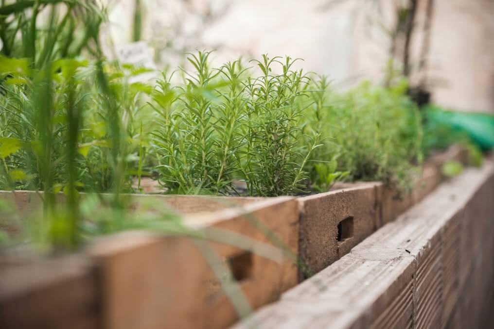 herb_garden_Indoor_growgreen_239.2