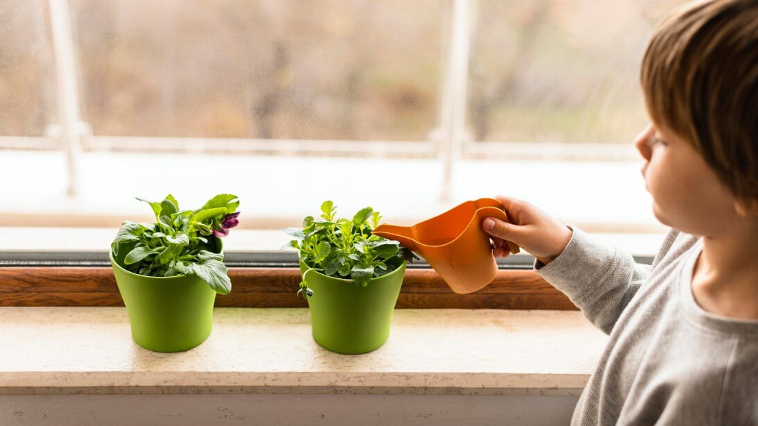 herb_garden_Indoor_growgreen_239.3