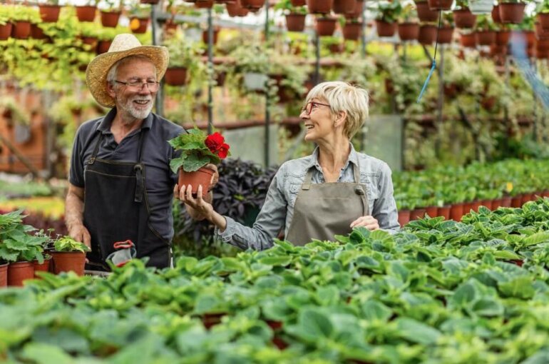 Herb Garden Indoor | How To Take Care Of Herb Garden Indoor
