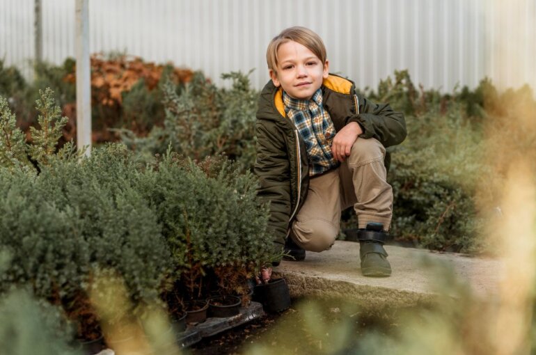 Herb Garden Indoor | Limitations Of Herb Garden Indoor