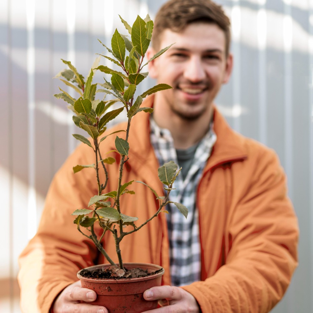 herb_garden_Indoor_growgreen_282.2