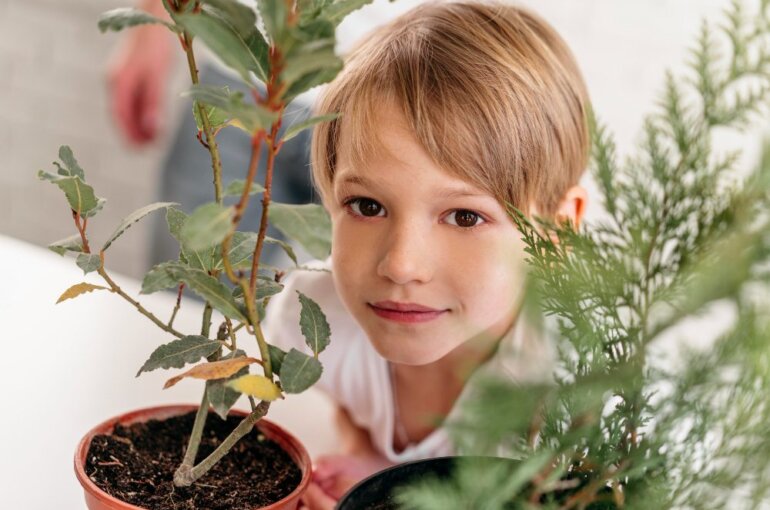 Herb Garden Indoor | Do’s And Don’ts Of Herb Garden Indoor