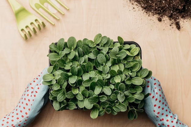 herb_garden_Indoor_growgreen_283.3