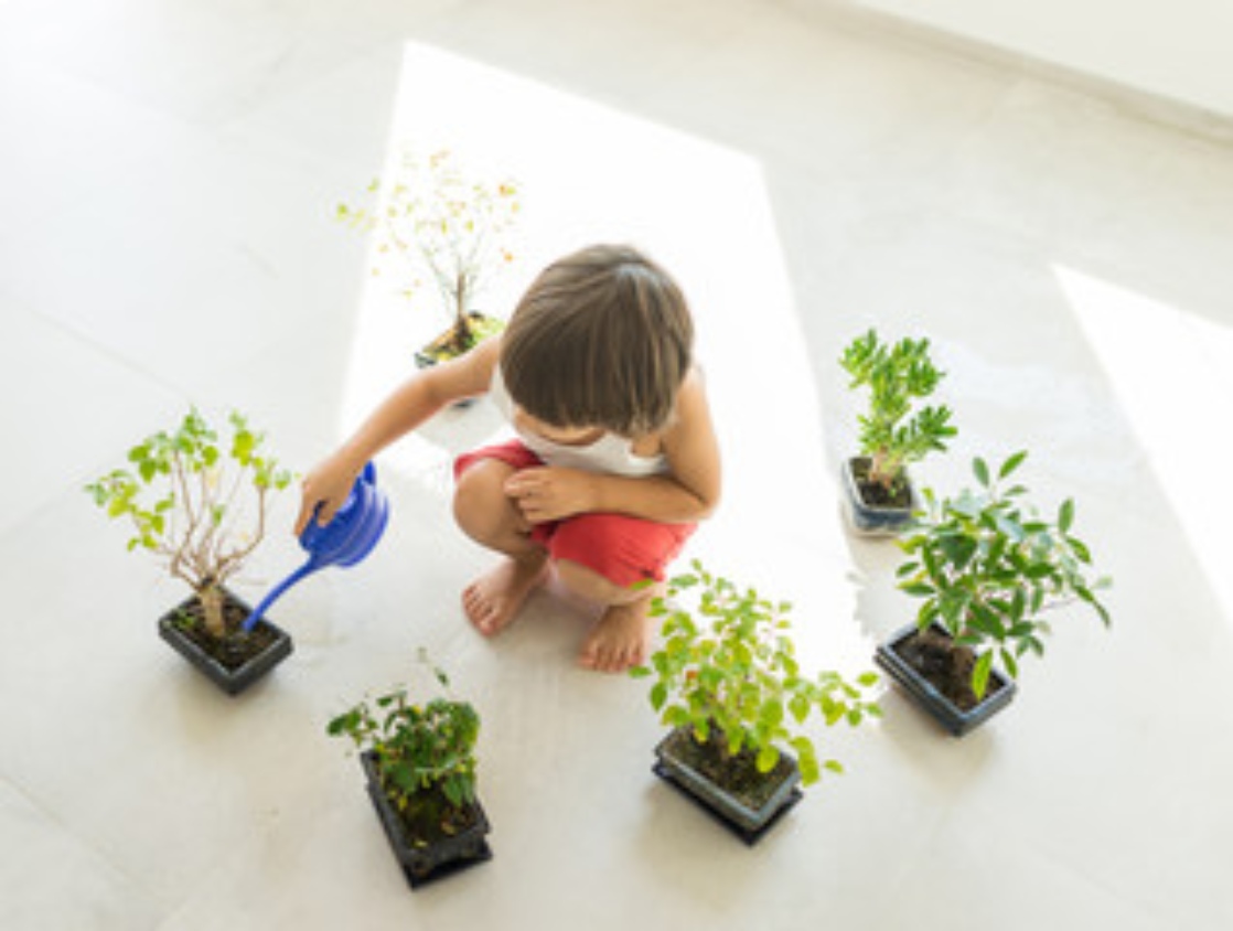 herb_garden_indoor_growgreen_284.3
